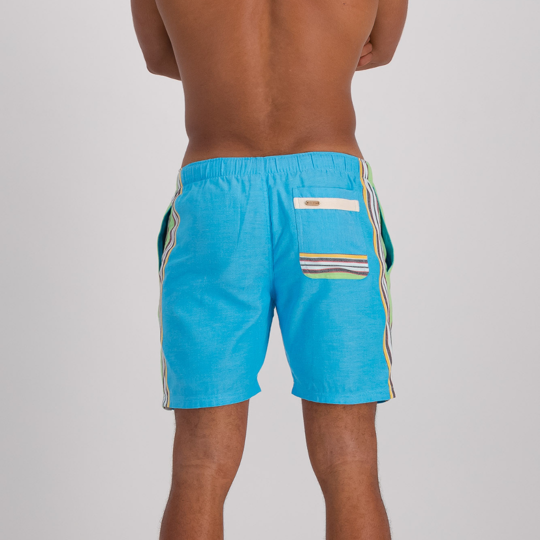 Hipster Shorts - Earthy Blue